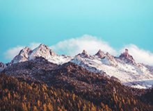 九游平台-沙职：本泽马新月首秀大演帽子戏法